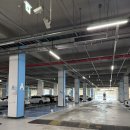 백석공단1로사거리 | 다비스튜디오 셀프 사진관 천안불당점 크리스마스 추억 남기기