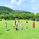 바다의별유치원 이미지