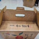 진도아리랑유자 네이버블로그