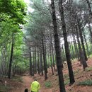 수리산도립공원 매쟁이골(입구) | 군포 아이랑 가볼만한곳 수리산 숲속놀이터 추천