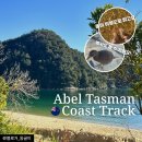 카페앵커리지 | Coast Track 수상택시 타고 4시간 하이킹/트레킹 코스(앵커리지에서 마라하우 가는법/Weka웨카 후기)
