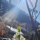 지리산리조트 이미지