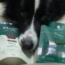 원탑덴탈 이미지