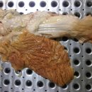GBP_Pelvic Set_애기보(새끼보) 이미지