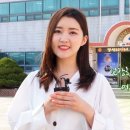 웰리온 이미지