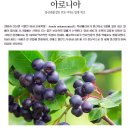 고창친환경생산자영농조합법인 이미지