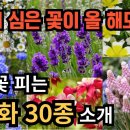 봄에 꽃 피는 야생화, 번식이 잘 돼서 매년 꽃을 볼 수 있는 야생화 30종을 소개해 드립니다. 이미지