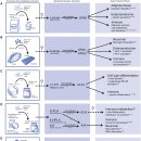 Re: 장내 유익균과 음식 발효균 2024 Cell metabolism review!! 이미지