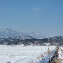 봄날부동산중개사무소 이미지