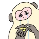 벽산디지털밸리III 이미지