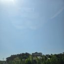 태안안면도여행 아이랑가기좋은 곳 쥬라기 박물관 별똥별 하늘공원 후기