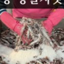 기장멸치수산