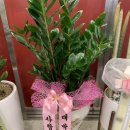 에그드랍 수영점 이미지