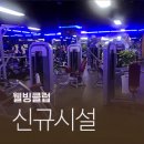 킹덤스포렉스 이미지
