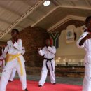 사랑한태권도 이미지