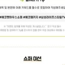 스타일펫 이미지