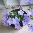 유림약국 이미지