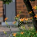 의령 탐진안씨 종택 이미지