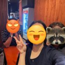 봉스타핑거무인까페 | 역마살 너무 꼈는데 괜찮아요?