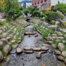 황지자유시장 코스 이미지