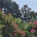 견불동산장 이미지