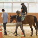 유성승마장 이미지