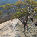 수락산(638m) ‘동대슬랩-칠성대-정상-도솔봉’ 산행기 이미지