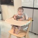 하이퀄리티몰 | 아기 하이체어 추천, 6개월부터 쓰는 가성비 원목 식탁의자 야마토야 스쿠스쿠GL
