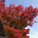 서천세안약국 이미지