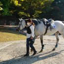 실내승마장(관람석) 이미지