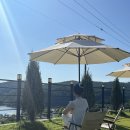 포레스트 173 이미지