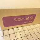 샤인머스켓 맛있게 먹는 방법! 달빛농원 산지직송 후기