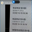 달빛 햄스터리 이미지