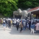 단양군시티투어 네이버블로그