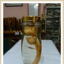 (주)삼주 이미지