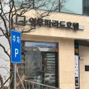 몽스파 | 부산 해운대 애견미용 &#34;몽아띠&#34; 미용 스파 후기