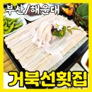 대림팜약국 | 세상에 이런 회가?! 해운대토박이 인정 해운대횟집 거북선횟집 부산숨은맛집