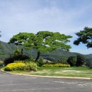 세일CC스타트하우스 이미지