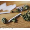 홍콩, 대마초 화합물 CBD 금지령에 따라 첫 번째 사람을 감옥에 가두다 이미지