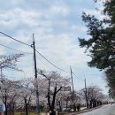 소양댐 주차장(정상) 이미지