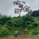 금광면사무소 주차장 이미지