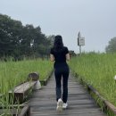 공룡화석지 이미지