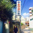 정소아과의원 Daum카페
