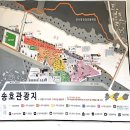 대전 근교 송호국민관광지 캠핑장 예약방법 및 평일 이용 후기(런닝 후 샤워까지)