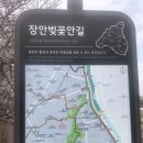 벚꽃길민박