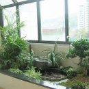 루미아트 이미지