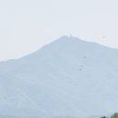 강우목장 티스토리