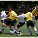 입실초등학교 이미지