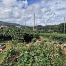 완도읍-2 이미지