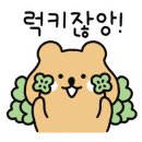월드가전가구아울렛 이미지